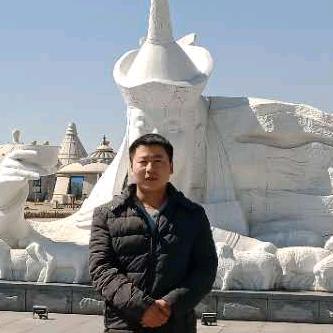 山东云鸟供应链管理有限公司