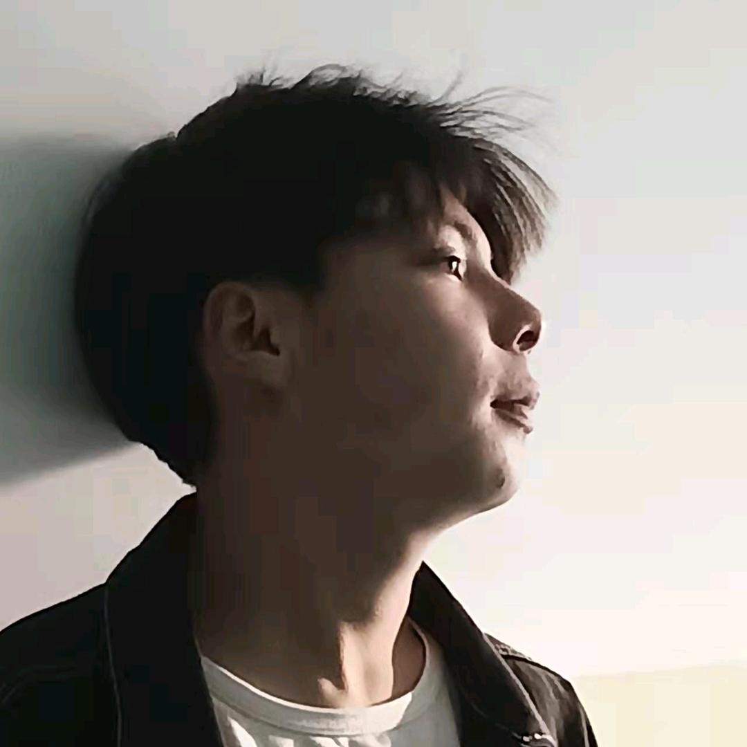 小刘·