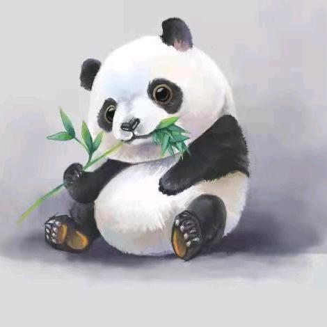全糖橙橙