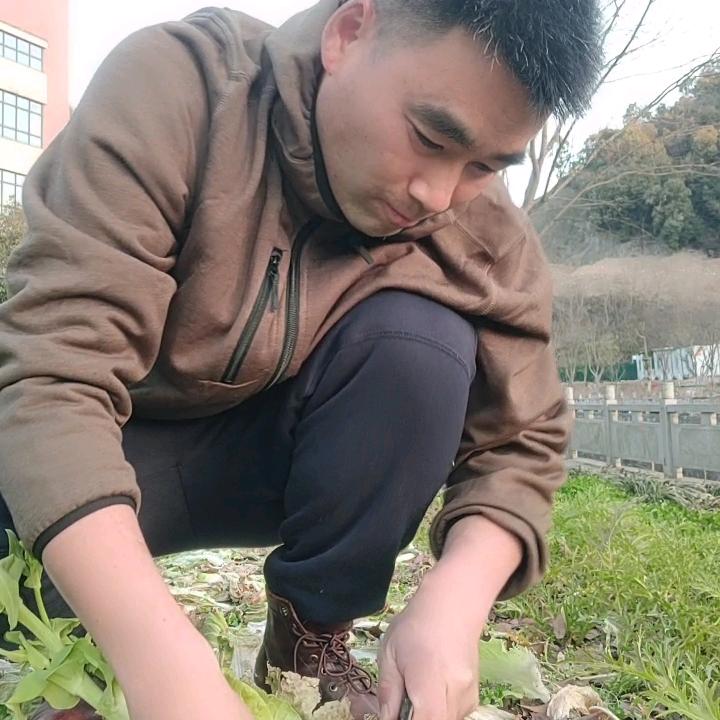 冰雨日常