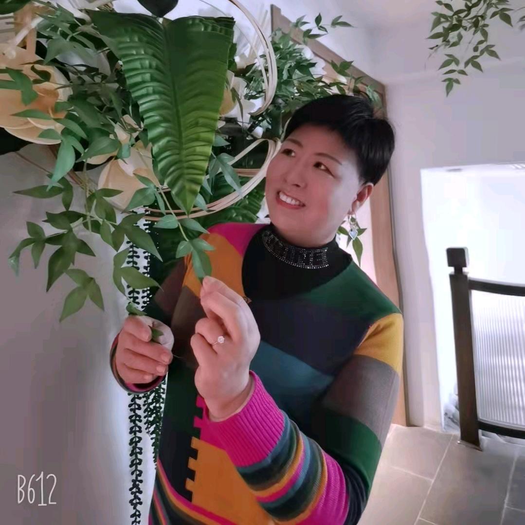 🌺毛毛姐