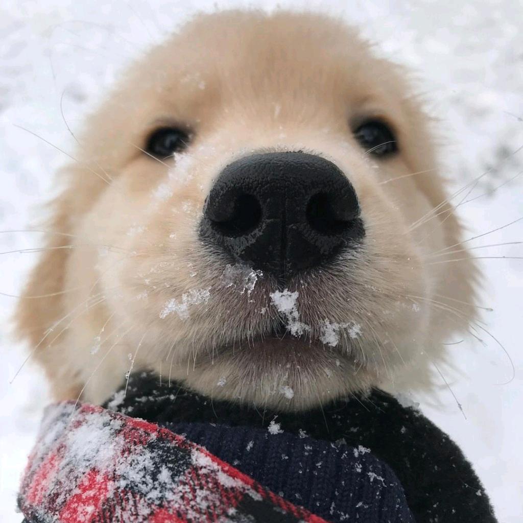 南美白对虾养殖小张