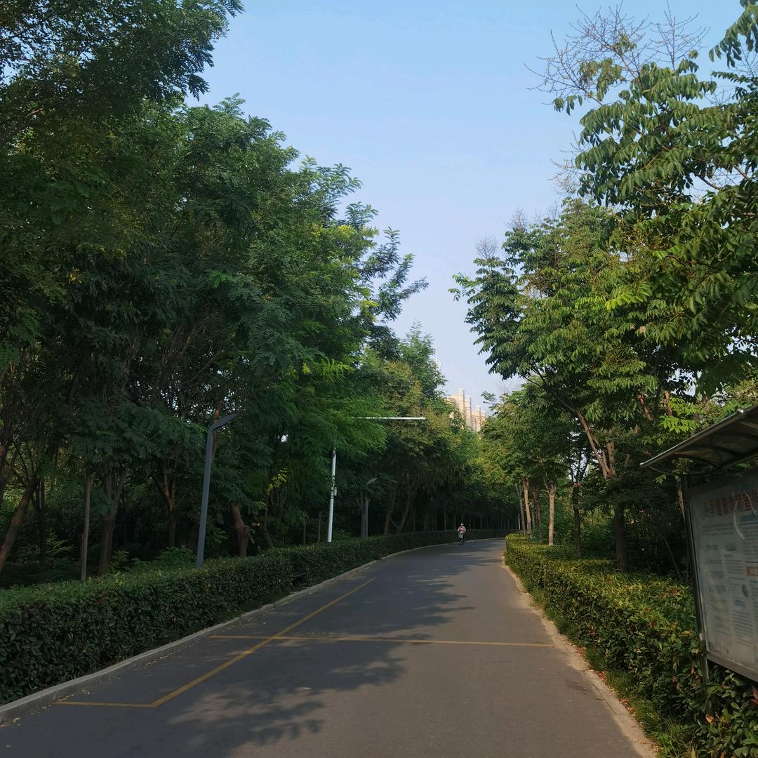 星东东