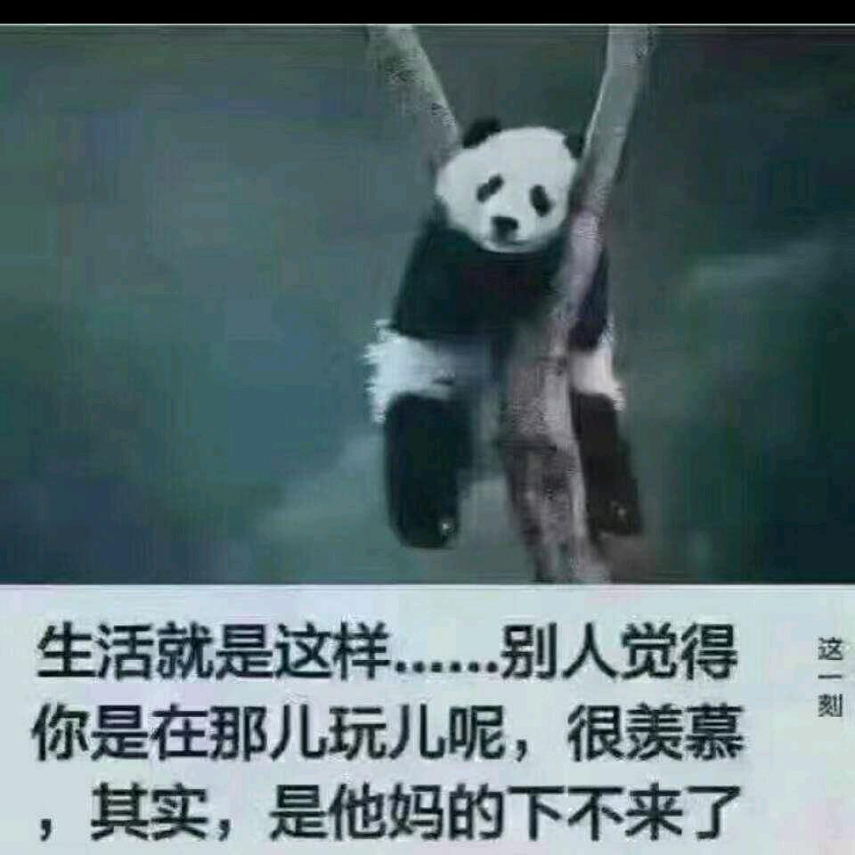 雨中漫步