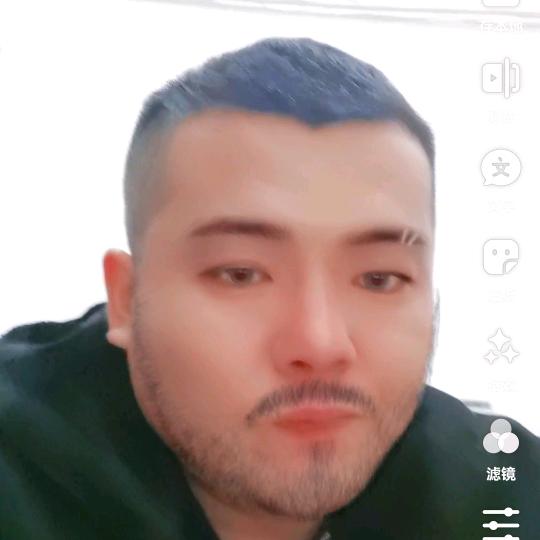 董振