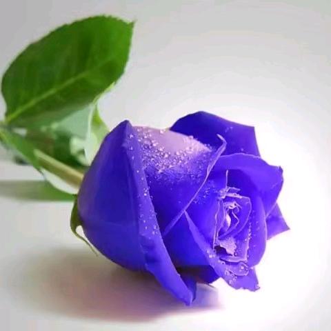 ꧁戒ઇଓ尘封 ꧂