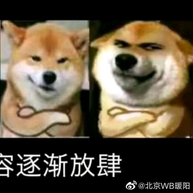虚伪的人性