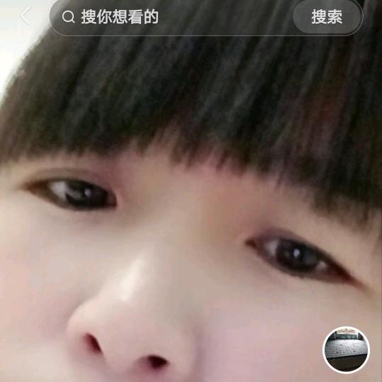 ( •̥́ ˍ •̀ू )琴