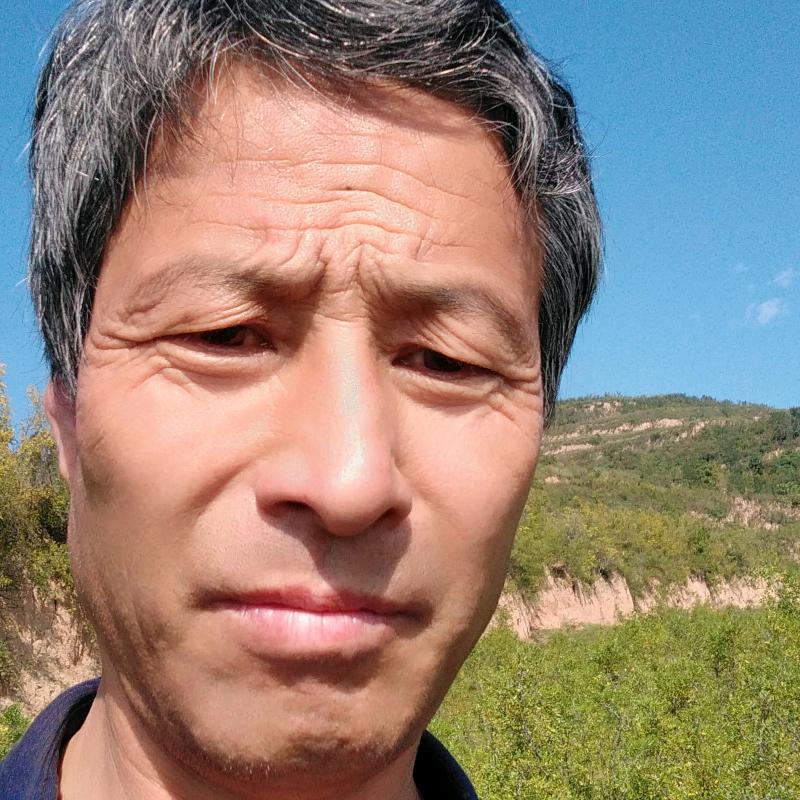 王理锋