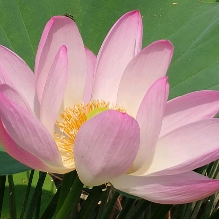 我要瘦下来