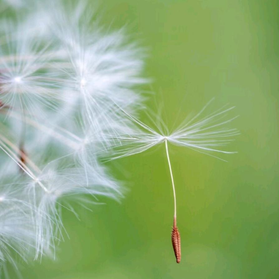 住在男生宿舍的阿姨👨‍👩‍👦‍👦