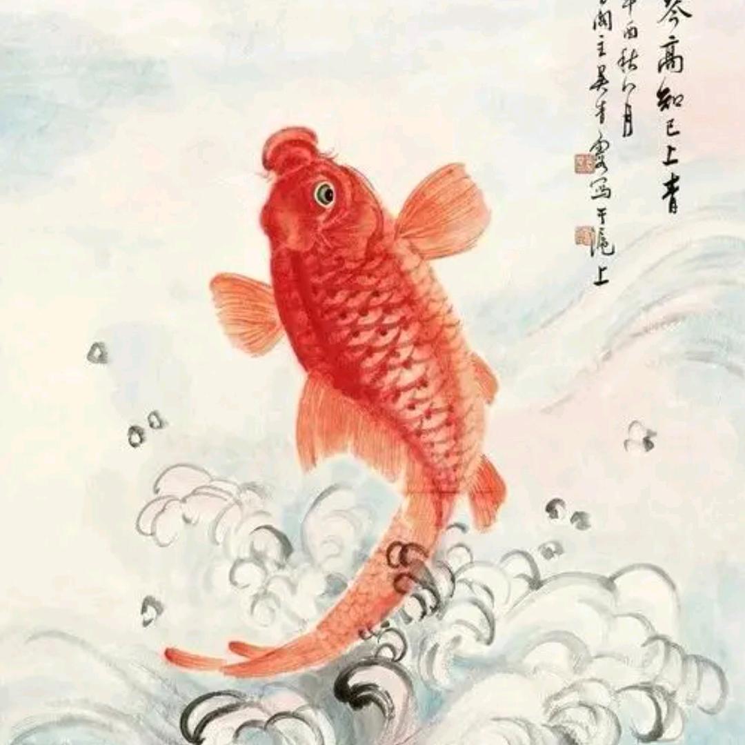 艾米就是噢买尬