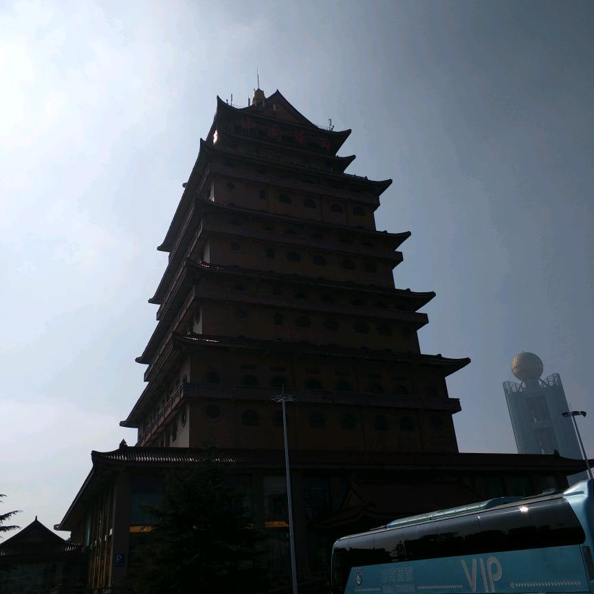 遥指天涯