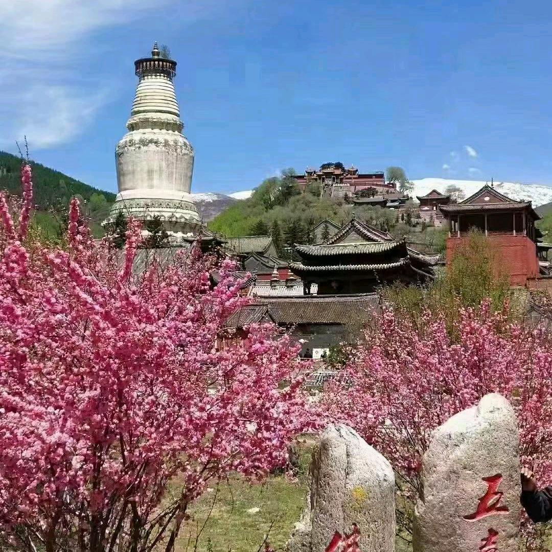 雪中情