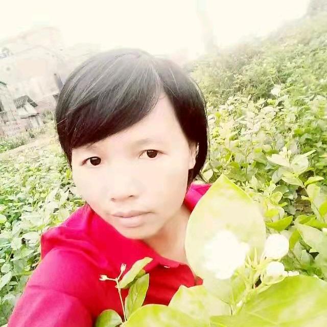 茉莉花