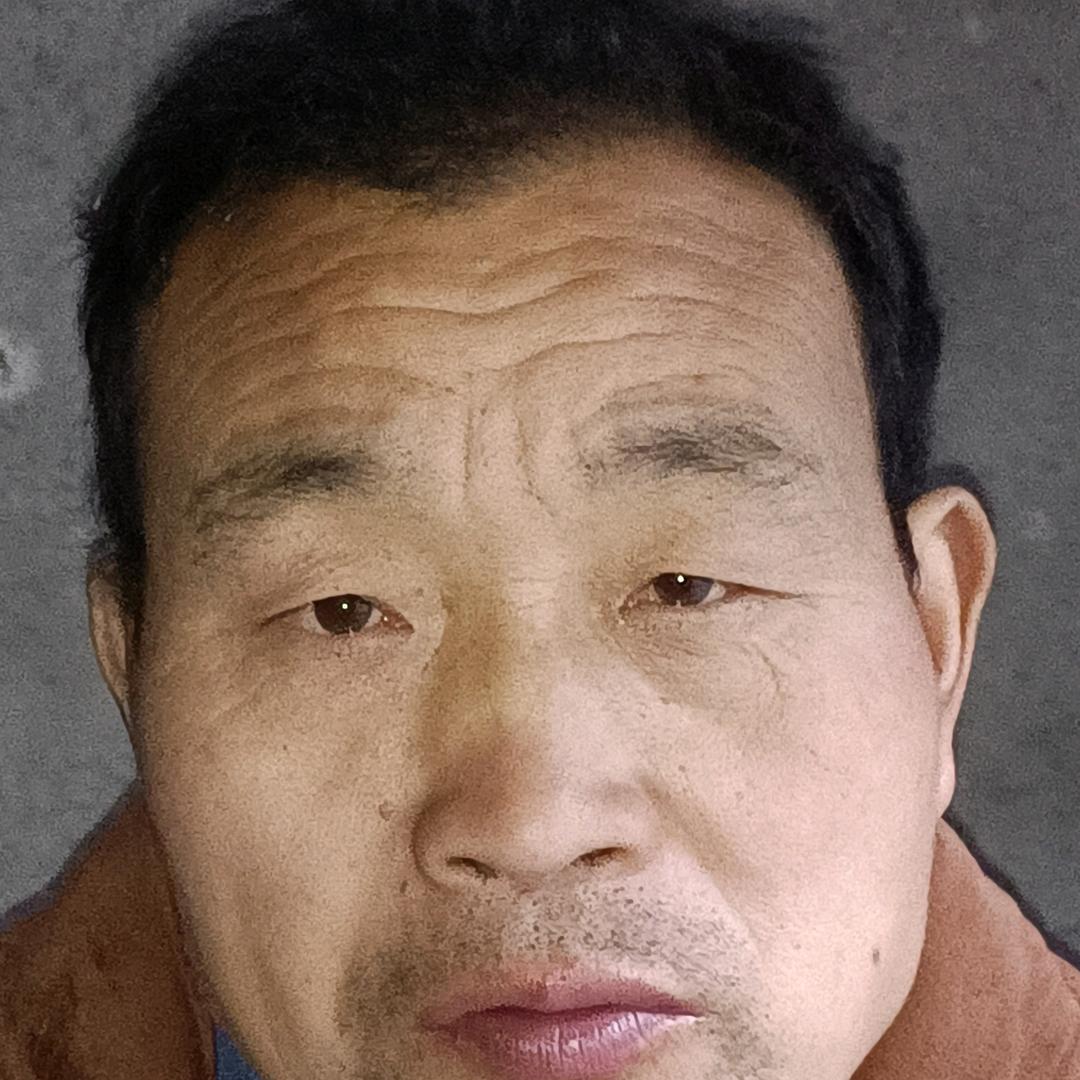 文英