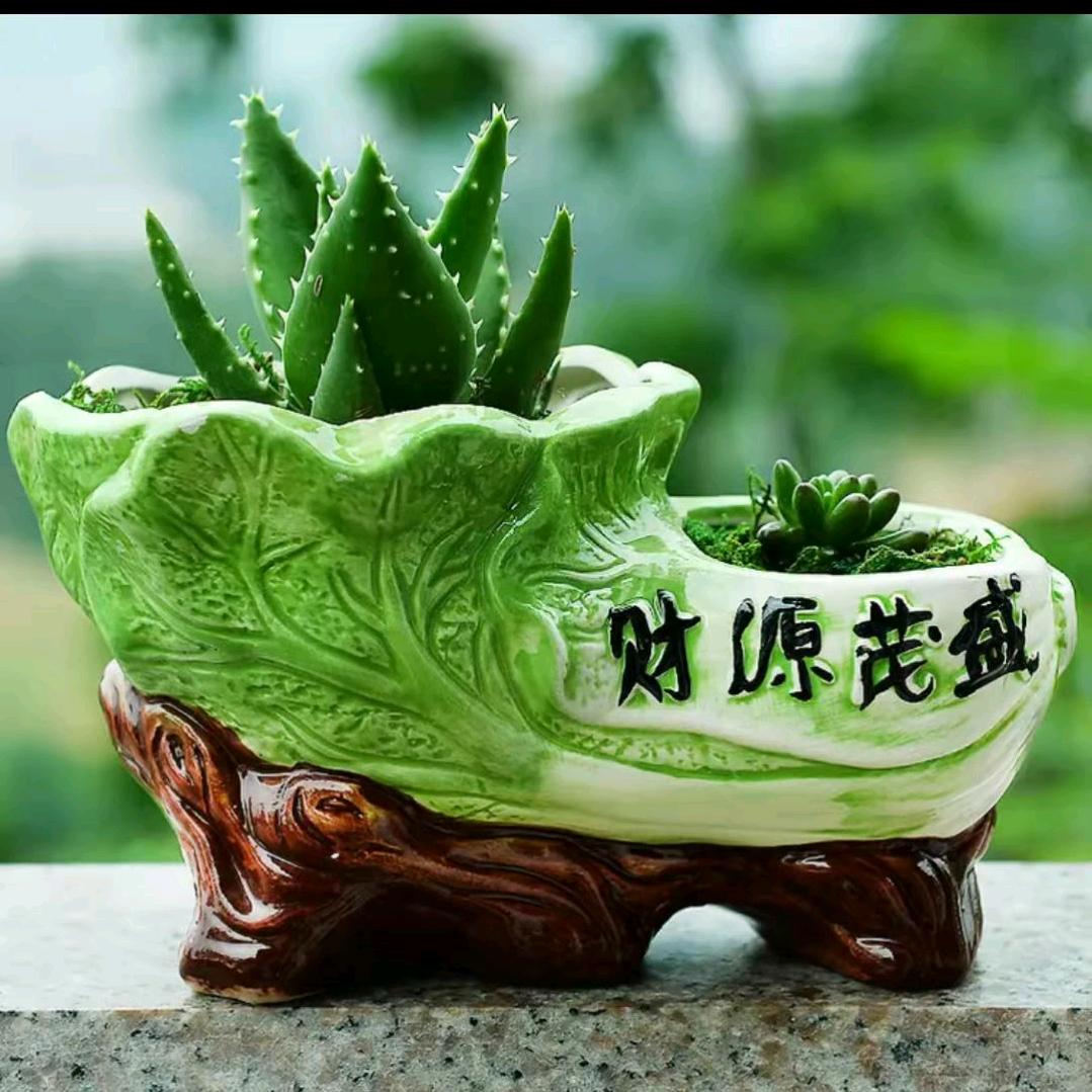 美好未来