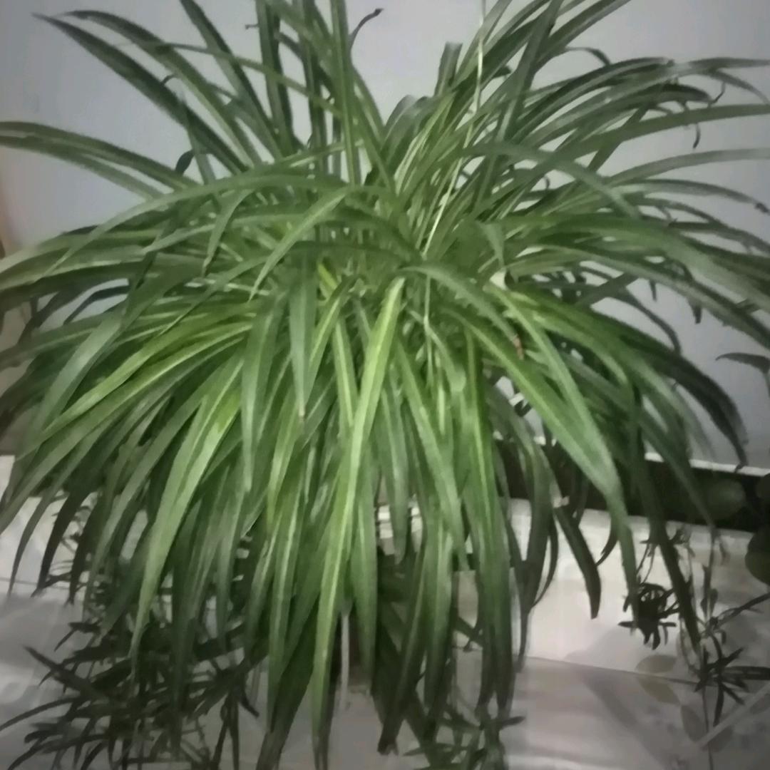 多说无意