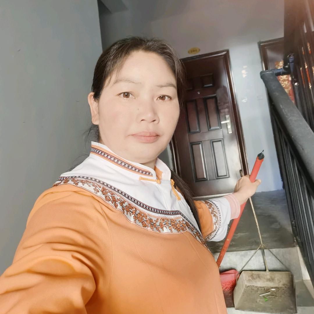 单身蝴蝶