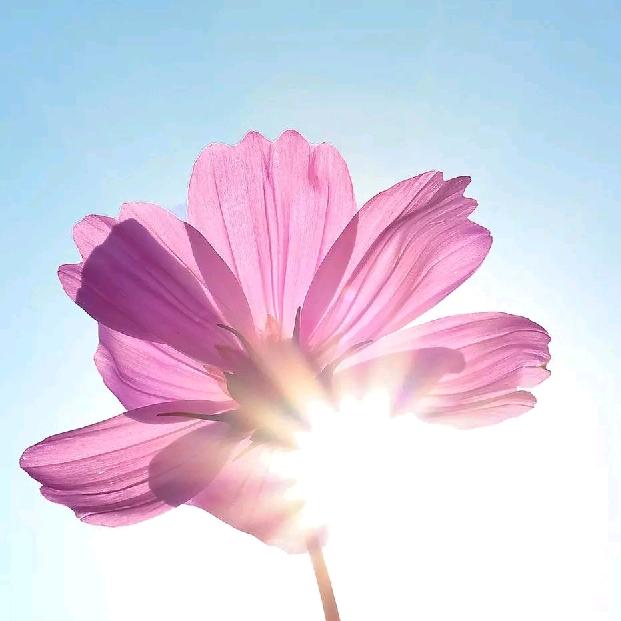 tft夜晚的星空⭐⭐