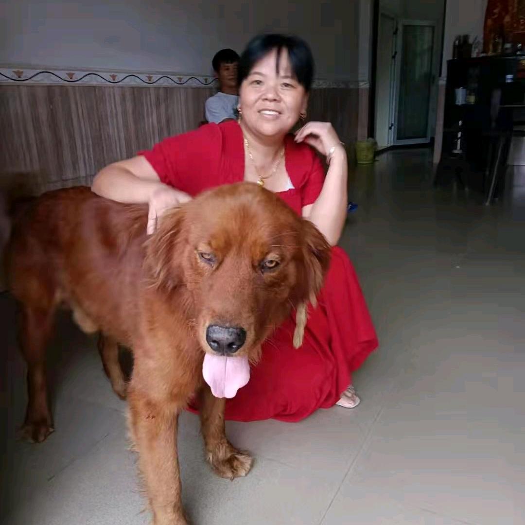 七彩星&