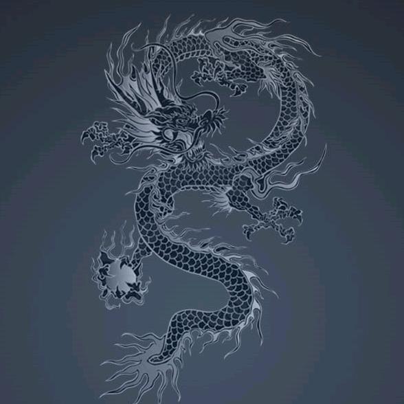 ∝等风的鱼