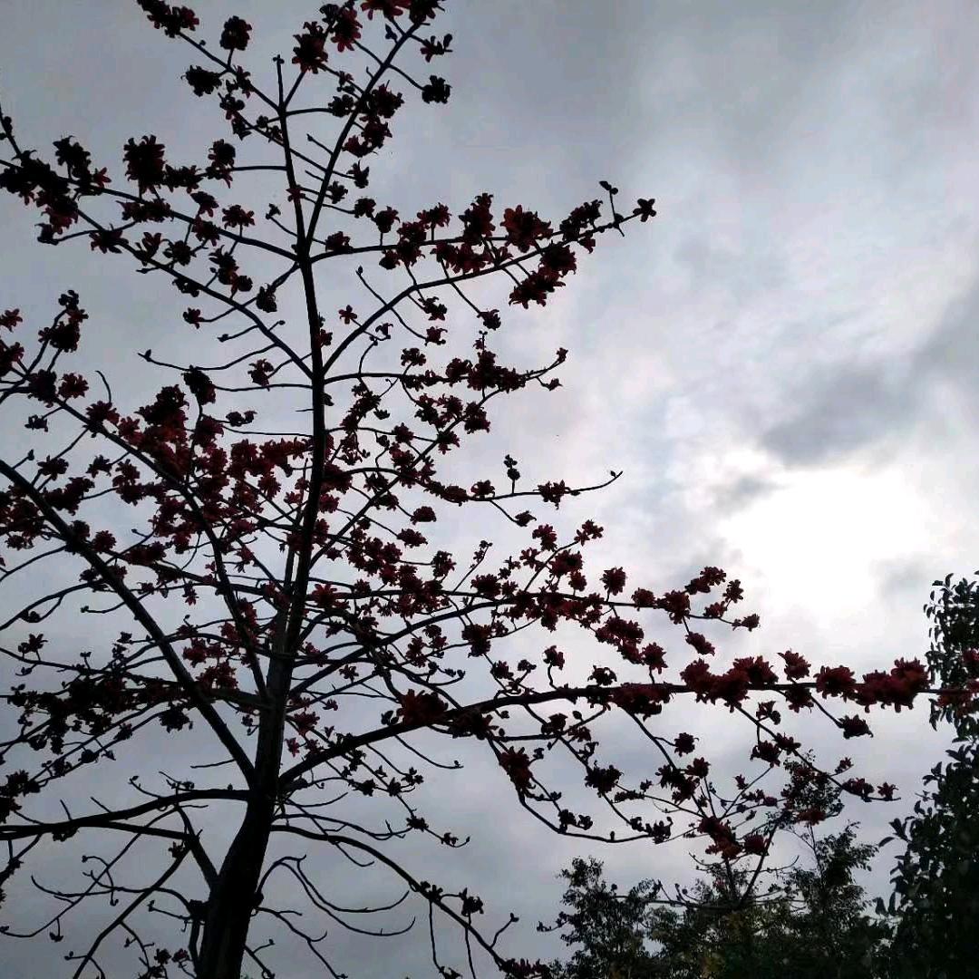 &顾左不顾右$