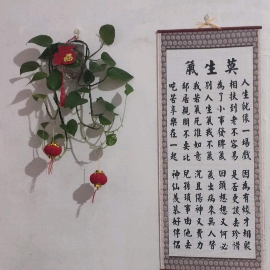 冲鸭人生