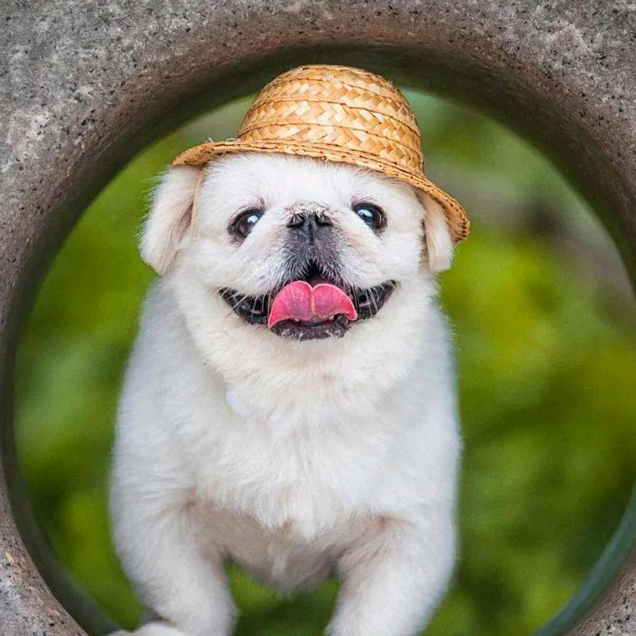 李总