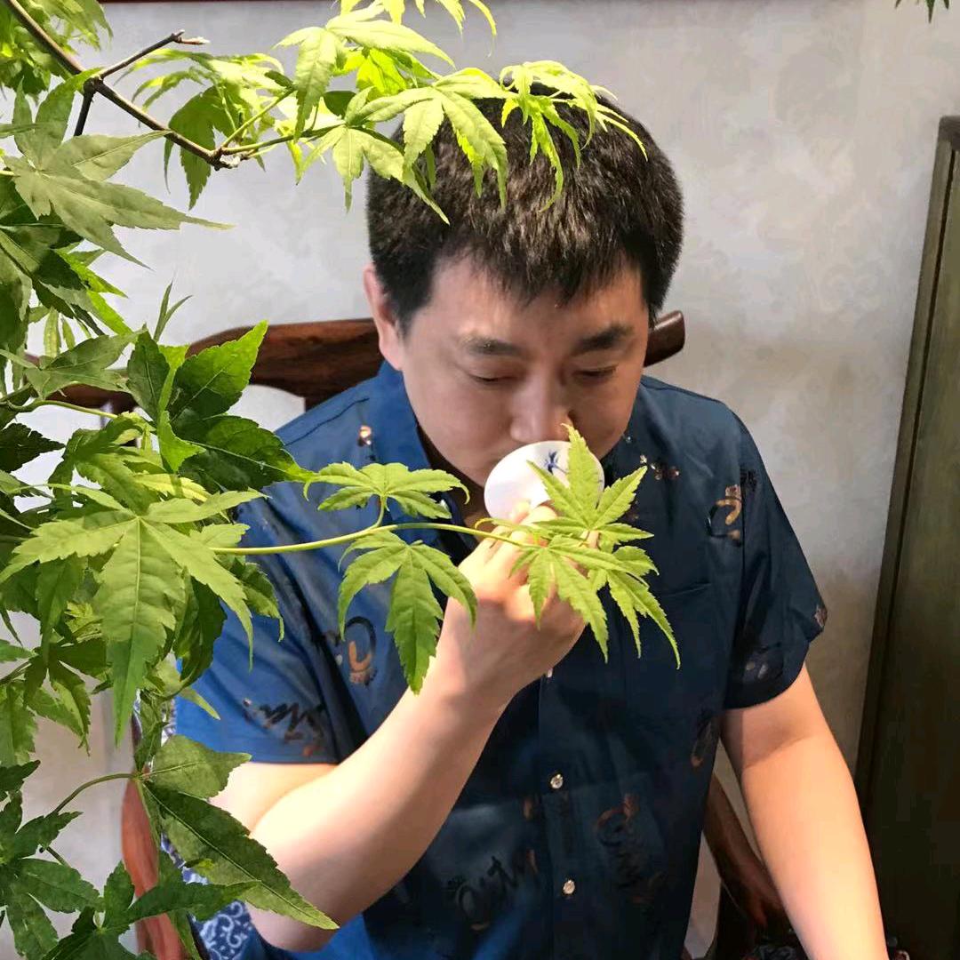 雅阁茶苑“大麟”