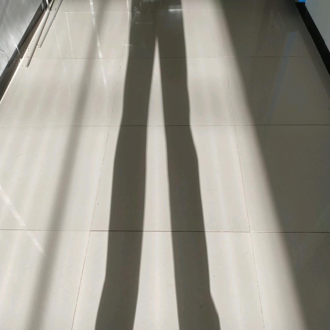 睡觉自然醒的向日葵🌻