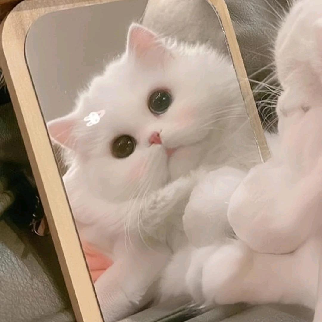 德智体美劳全面发展代表