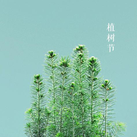 林林首播