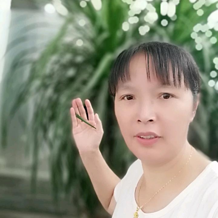 宋大姐