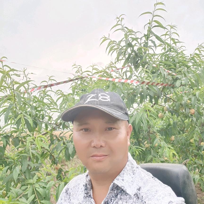 红三盛生态桃园采摘基地