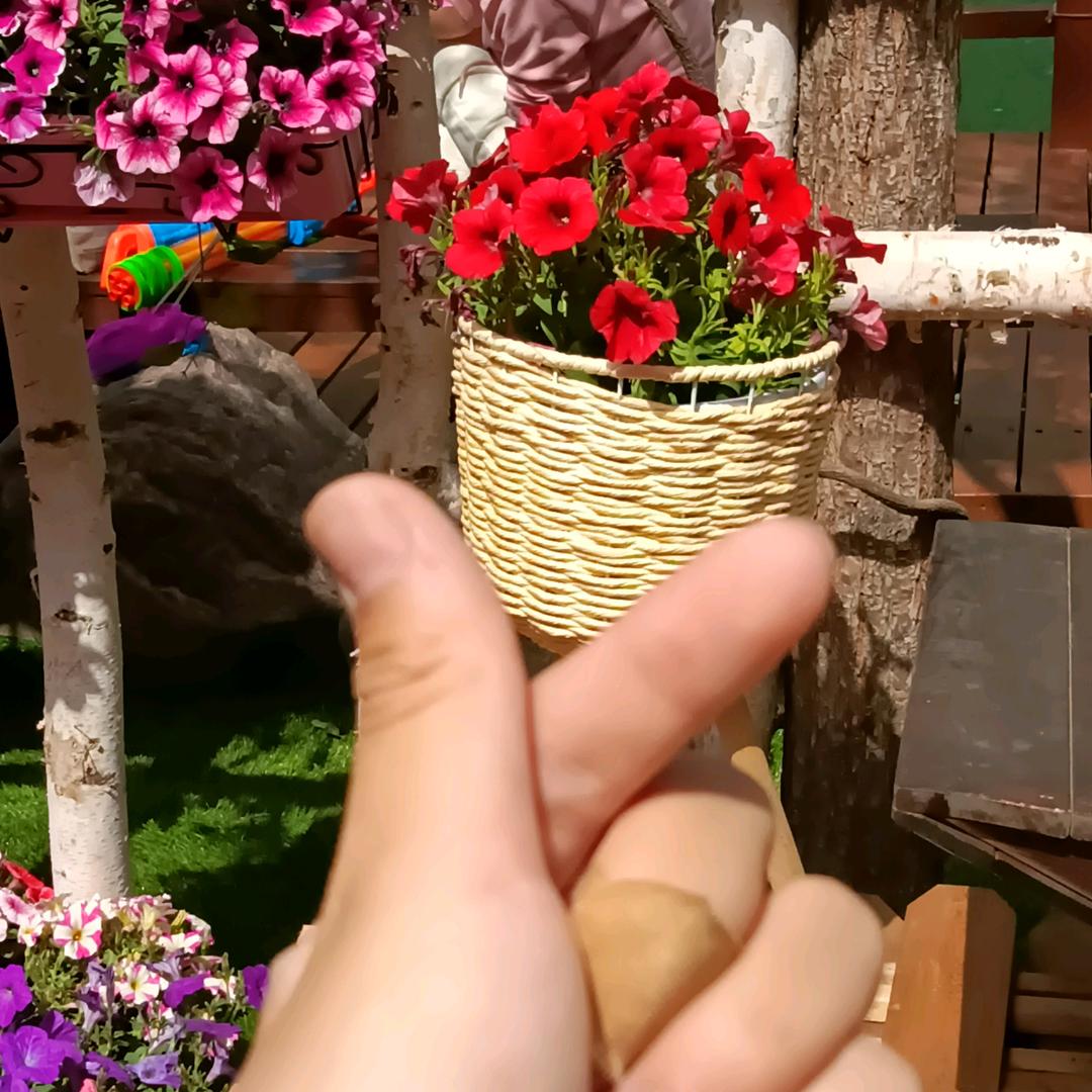 平淡的陪伴
