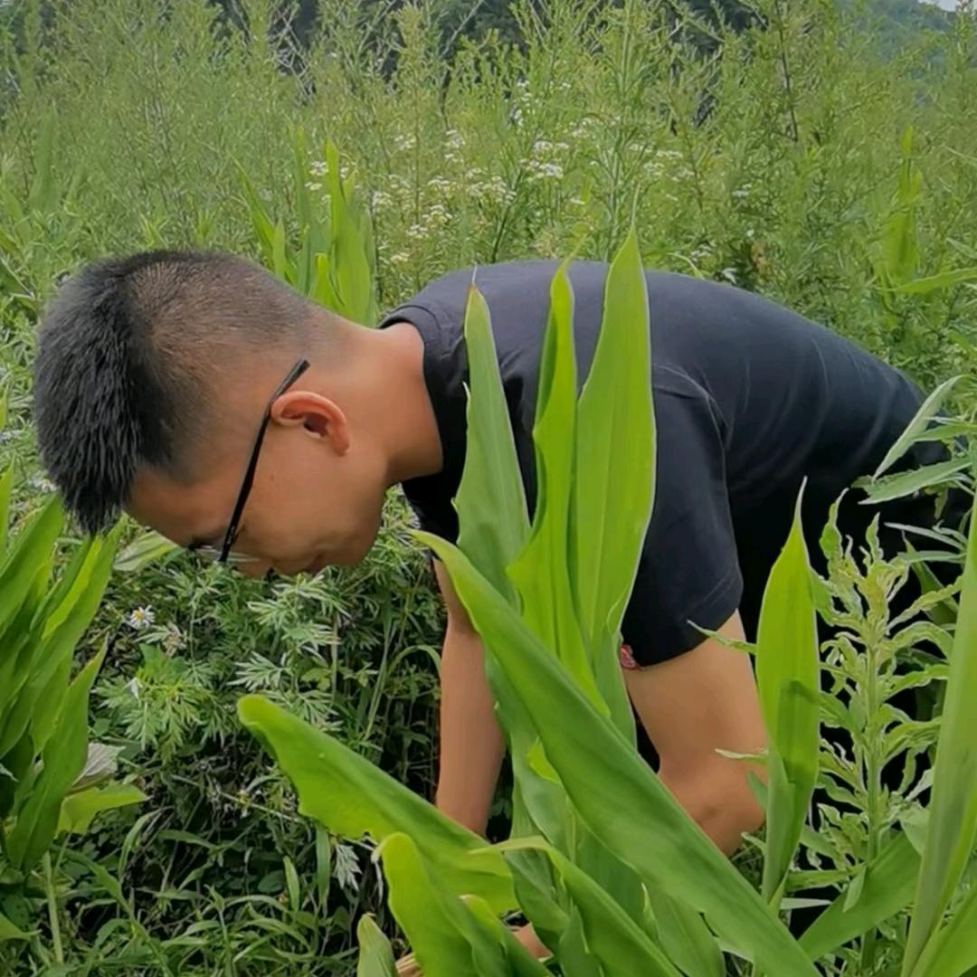 小味特产（橱窗下单）