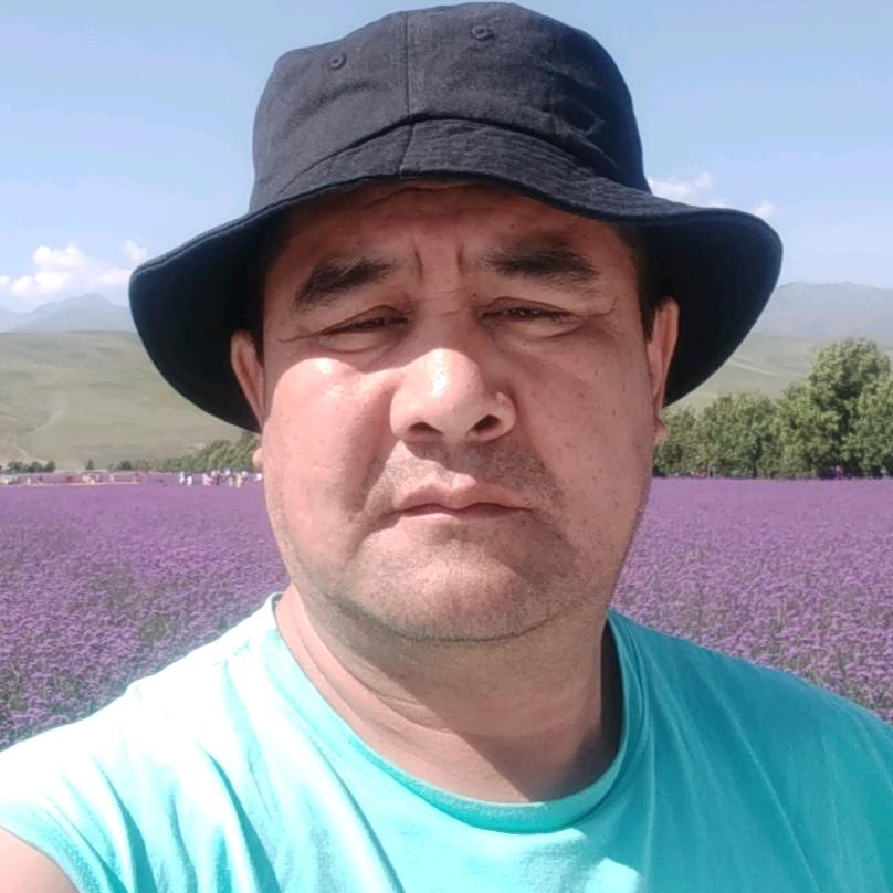 巴特铁木尔