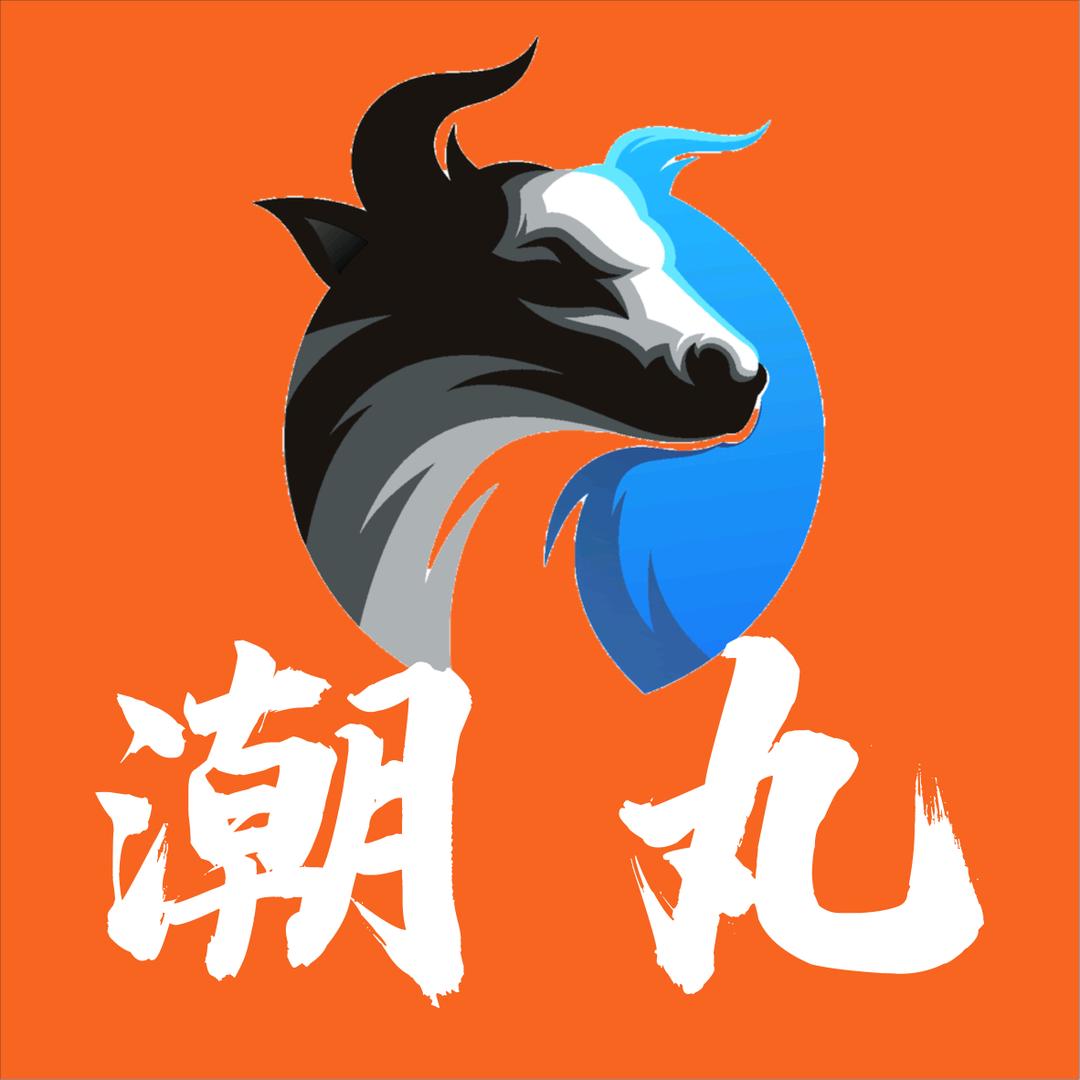 兴宁潮丸