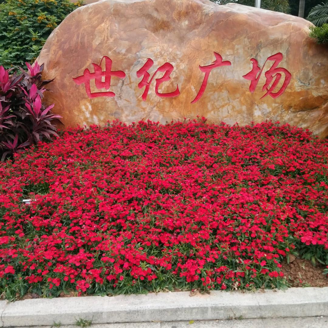 诚实实在人