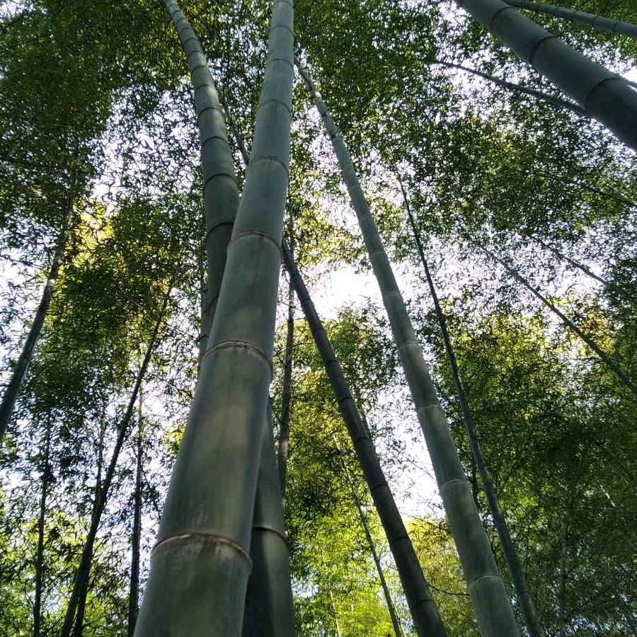 ,波汶管,土工材料供应商