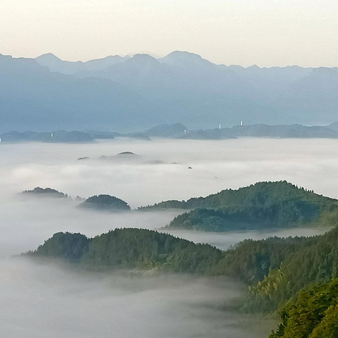 小老百姓乡村养殖