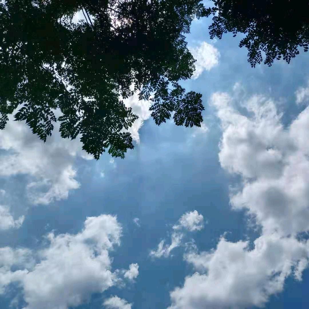 送菜的