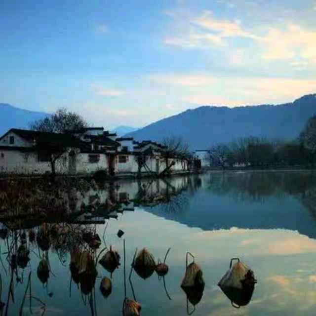 风雨人生淡然相随