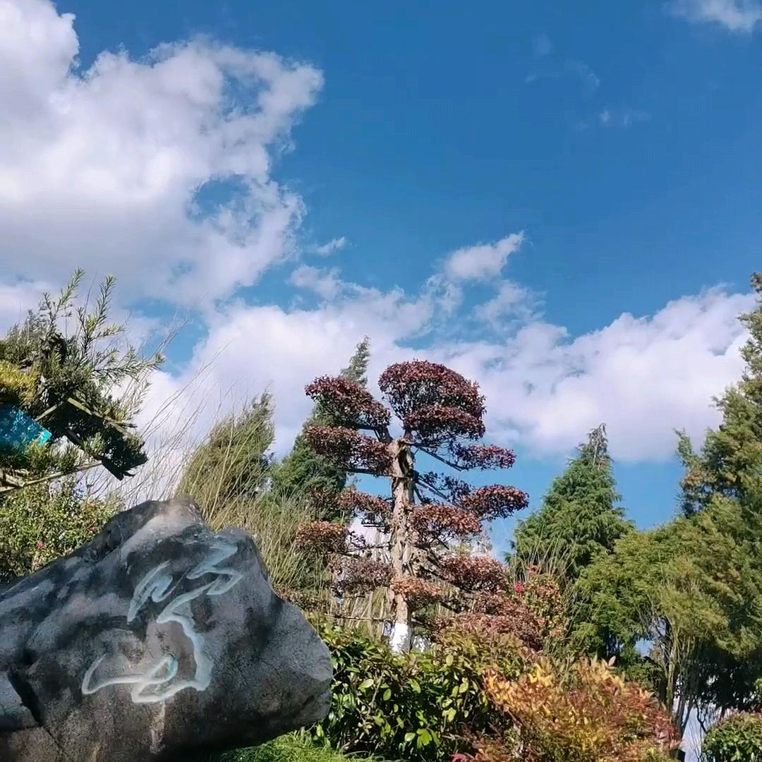 生活是一种修行   快乐是一种能力