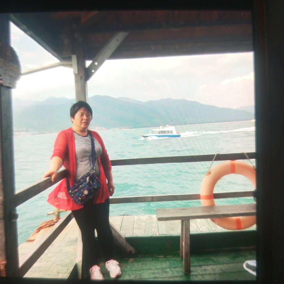 石河子小花