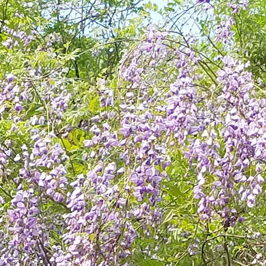 美好留在❤️里