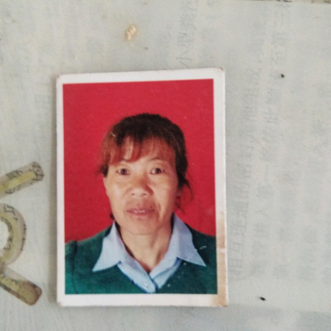王老七