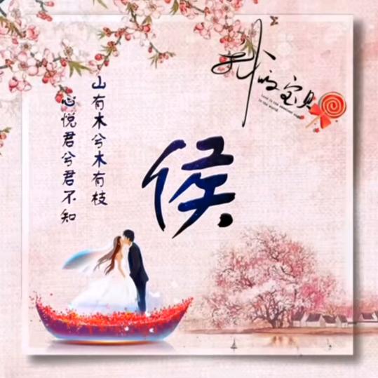 风行天下