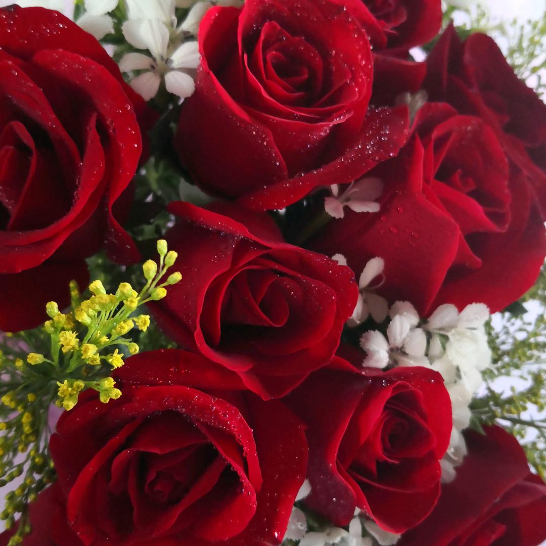 魏魏爱娱乐（互友互赞）